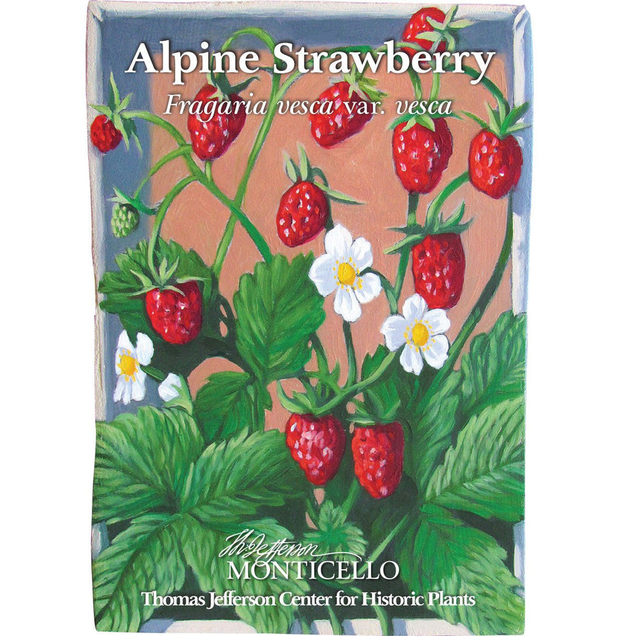 Alpine Strawberry Seeds (Fragaria vesca var. vesca) - Monticello Shop