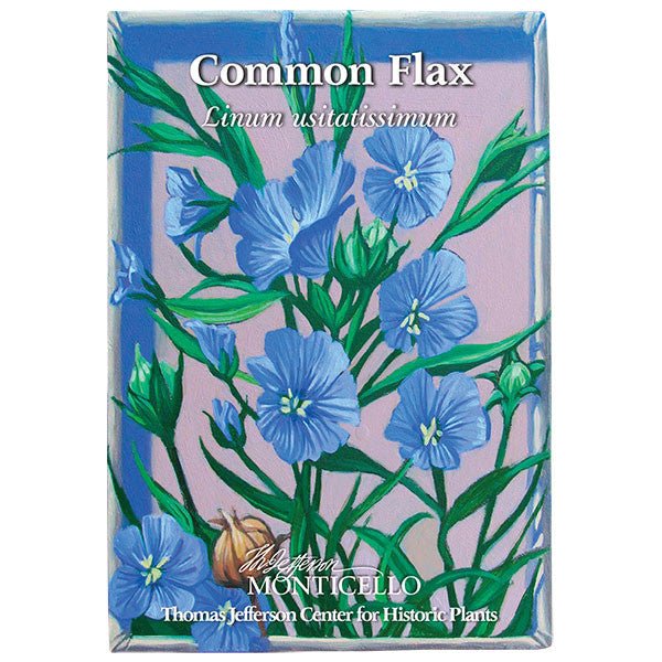 Common Flax Seeds (Linum usitatissimum) - Monticello Shop
