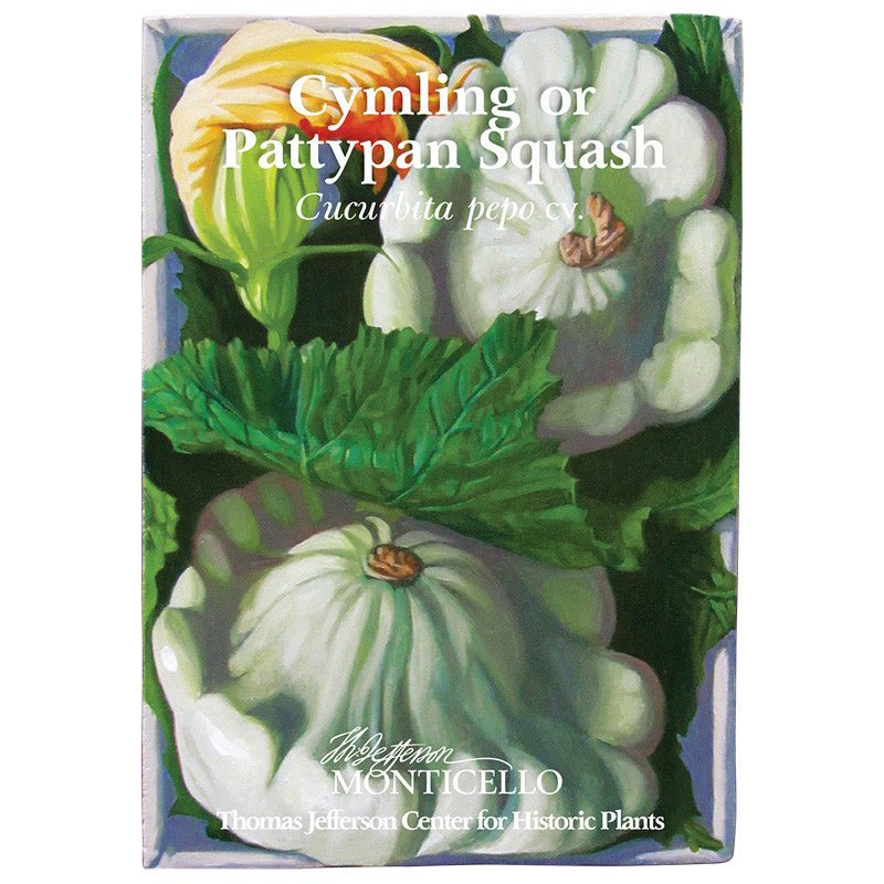 Cymling or Pattypan Squash Seeds (Cucurbita pepo) - Monticello Shop
