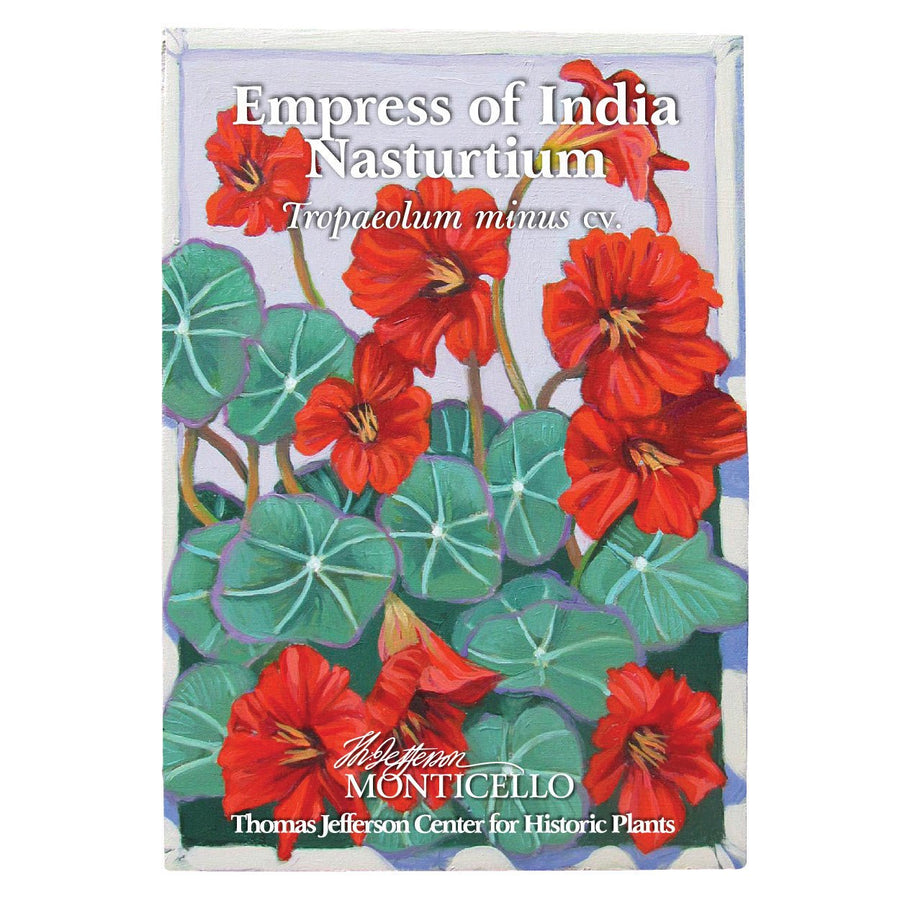 Empress of India Nasturtium Seeds (Tropaeolum minus cv.) - Monticello Shop