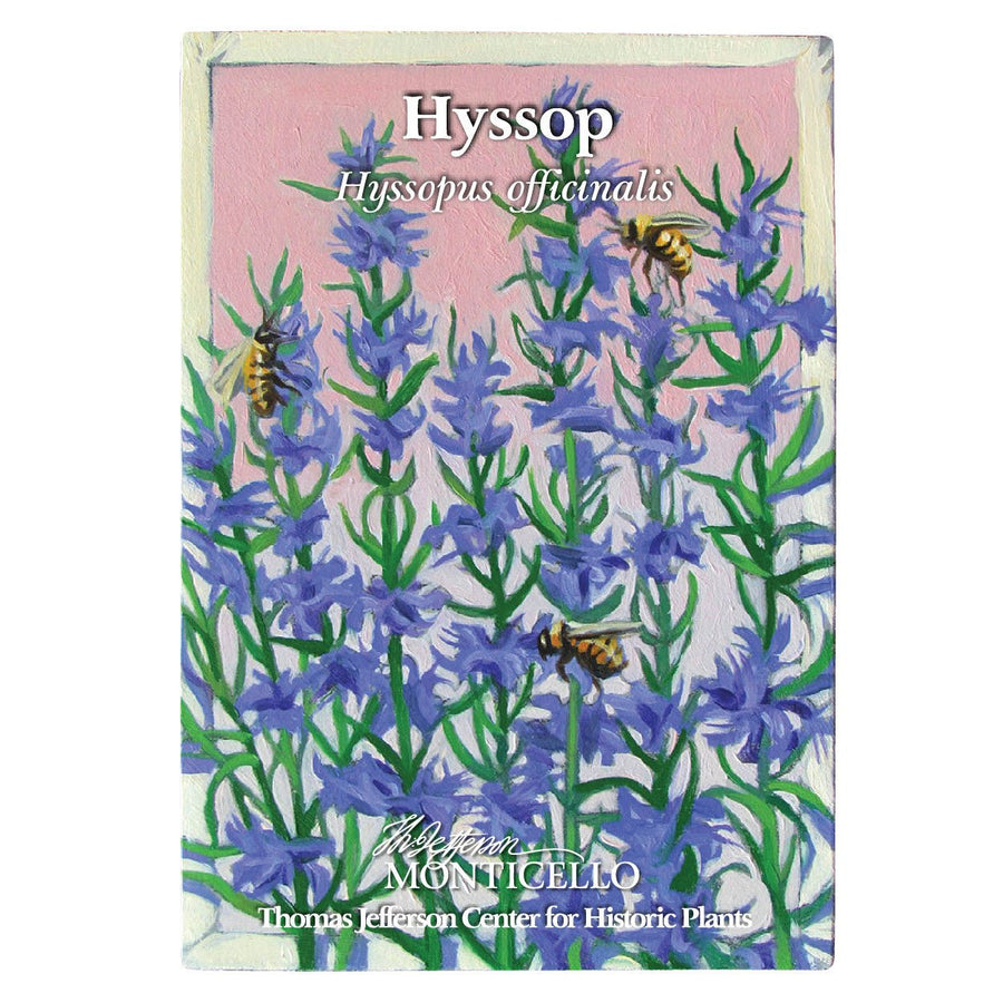 Hyssop Seeds (Hyssopus officinalis) - Monticello Shop