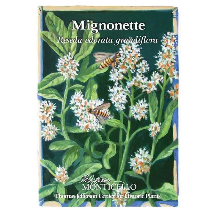 Mignonette Seeds (Reseda odorata grandiflora) - Monticello Shop