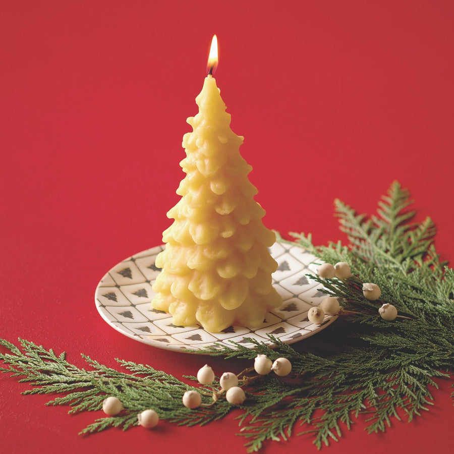 Monticello Tree Candle and Plate - Monticello Shop