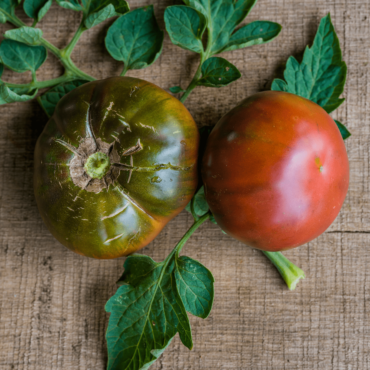 Cherokee Purple Tomato Seeds (Solanum lycopersicum cv