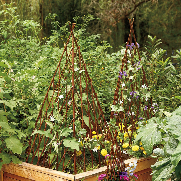 Willow Garden Pyramid Trellis - Monticello Shop