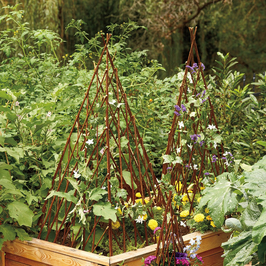 Willow Garden Pyramid Trellis - Monticello Shop