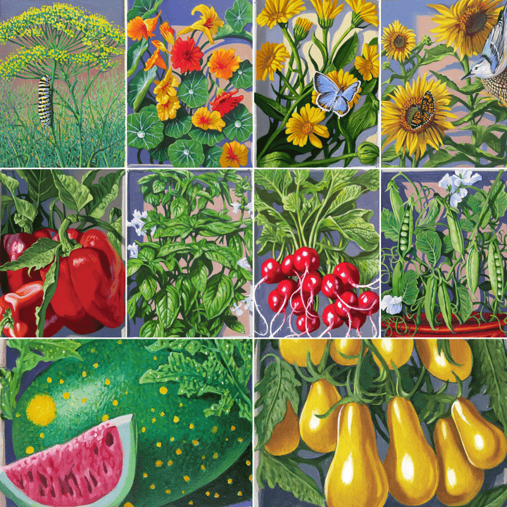 Young Gardener Seed Collection - Monticello Shop