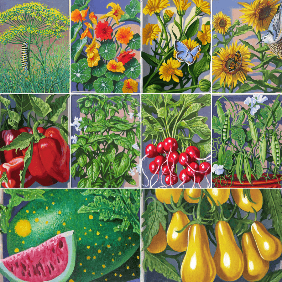 Young Gardener Seed Collection - Monticello Shop