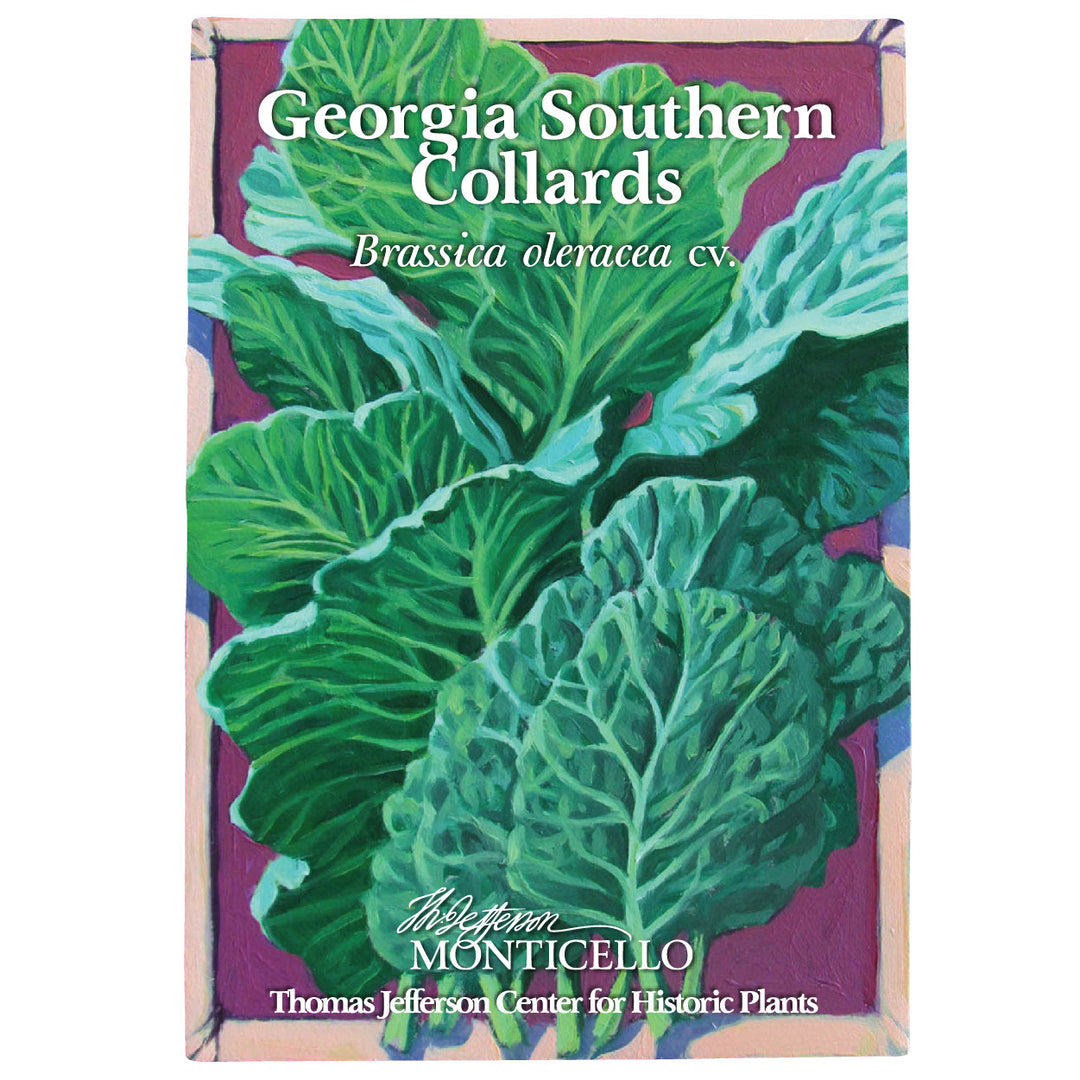 Georgia Southern Collards Seeds (Brassica oleracea cv.)