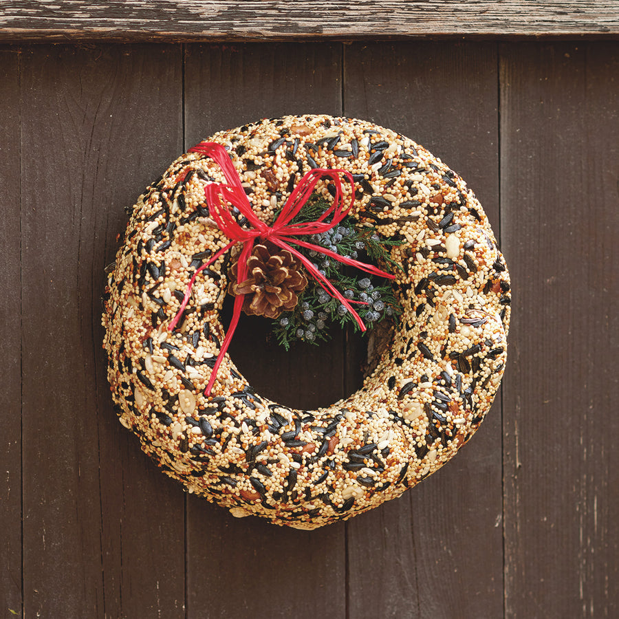 Festive Birdseed Wreath