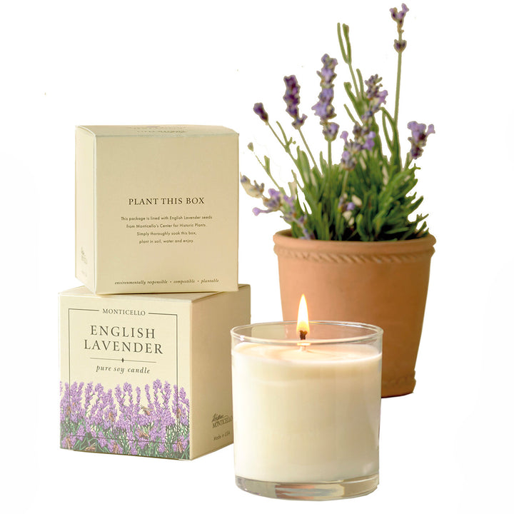 Monticello Lavender Seed Candle