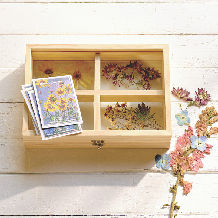 Monticello Dried Flowers Floating Frame