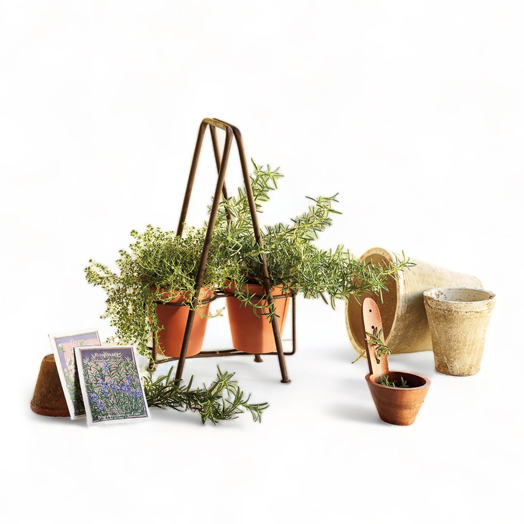 Herb Planters with Monticello Seeds