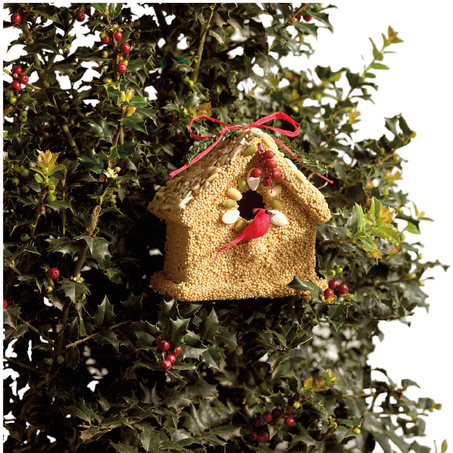 Cardinal Birdseed Cottage