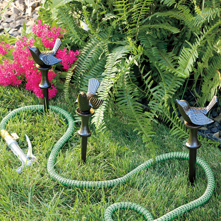 Bird Hose Guides