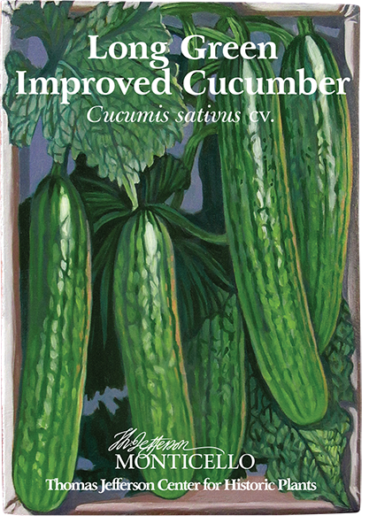 Long Green Improved Cucumber Seeds (Cucumis sativus cv.)