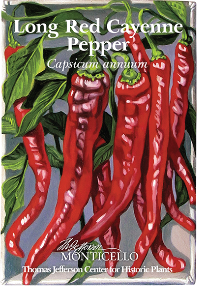 Long Red Cayenne Pepper Seeds (Capsicum annuum)