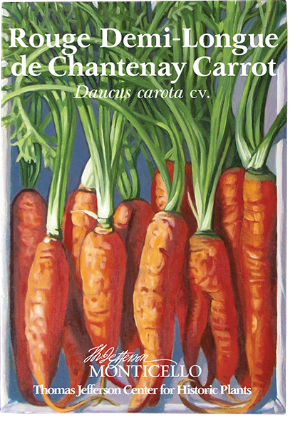 Rouge Demi-Longue de Chantenay Carrot Seeds (Daucus carota cv.)