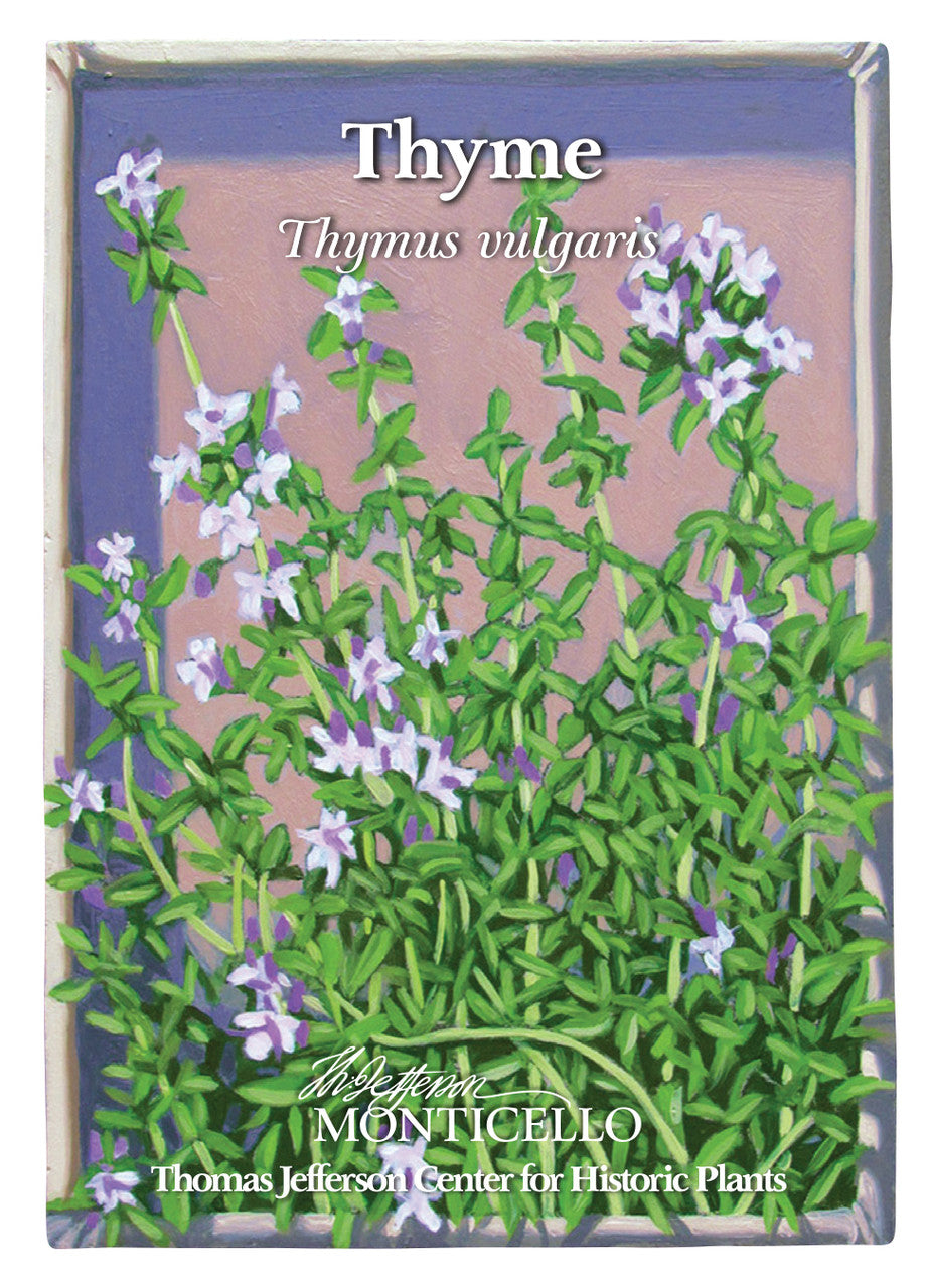 Thyme Seeds (Thymus vulgaris) – Monticello Shop