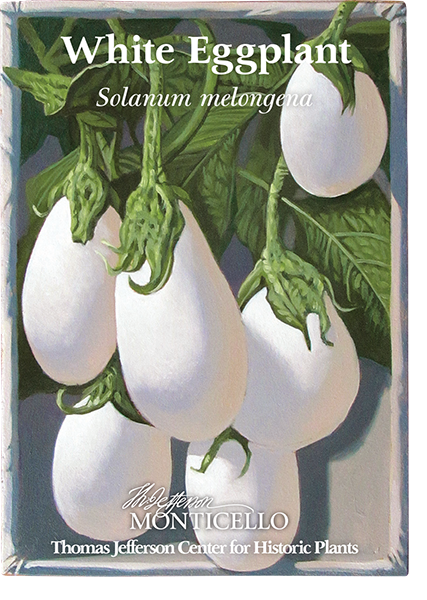 White Eggplant Seeds (Solanum melongena)