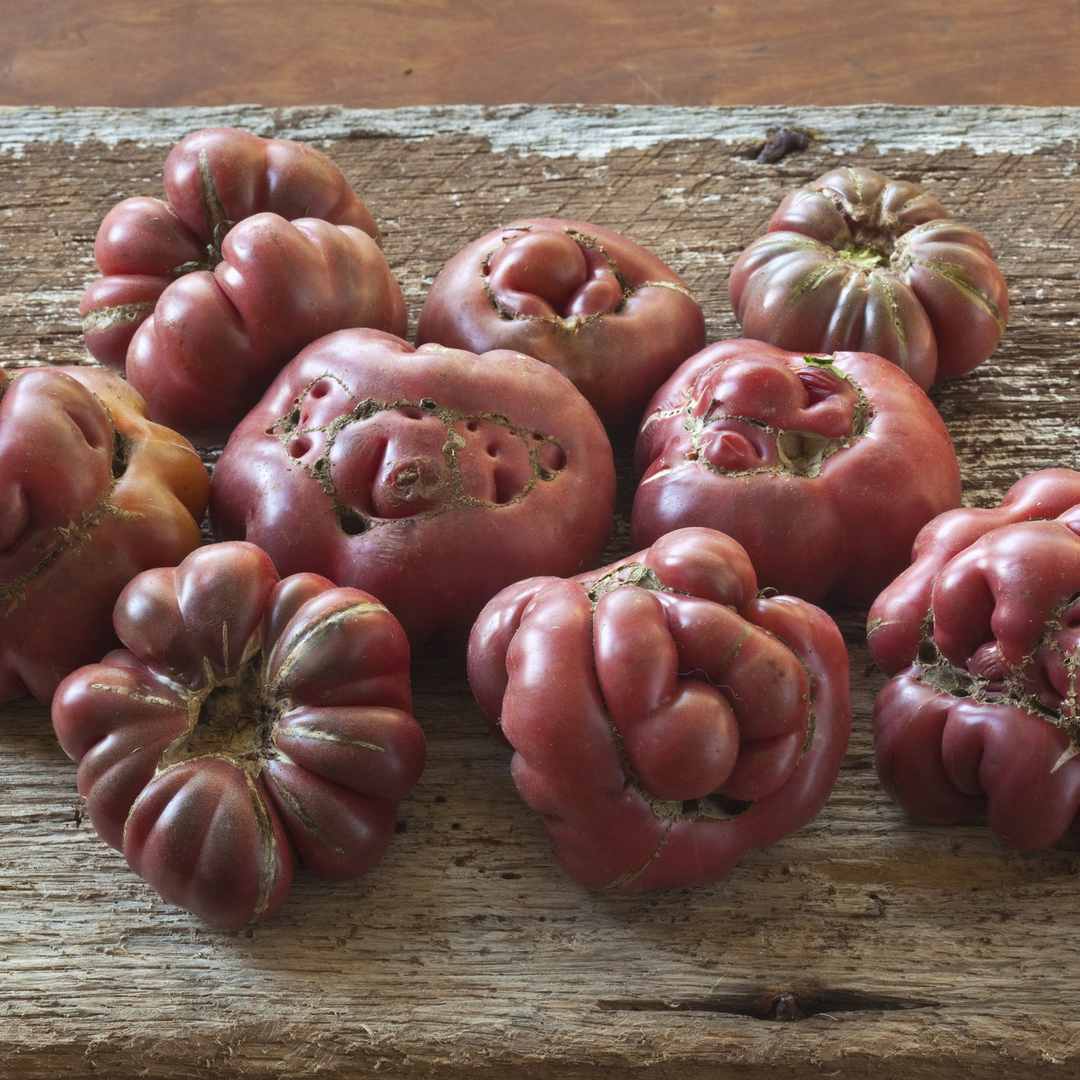 Purple Calabash Tomato Seeds (Solanum lycopersicum cv.)