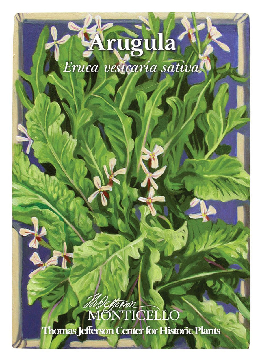 arugula seeds from plant Arugula Seeds (Eruca vesicaria sativa) – Monticello Shop