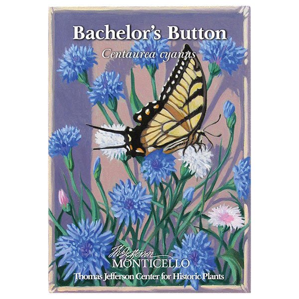 Bachelor's Button Seeds (Centaurea cyanus) – Monticello Shop