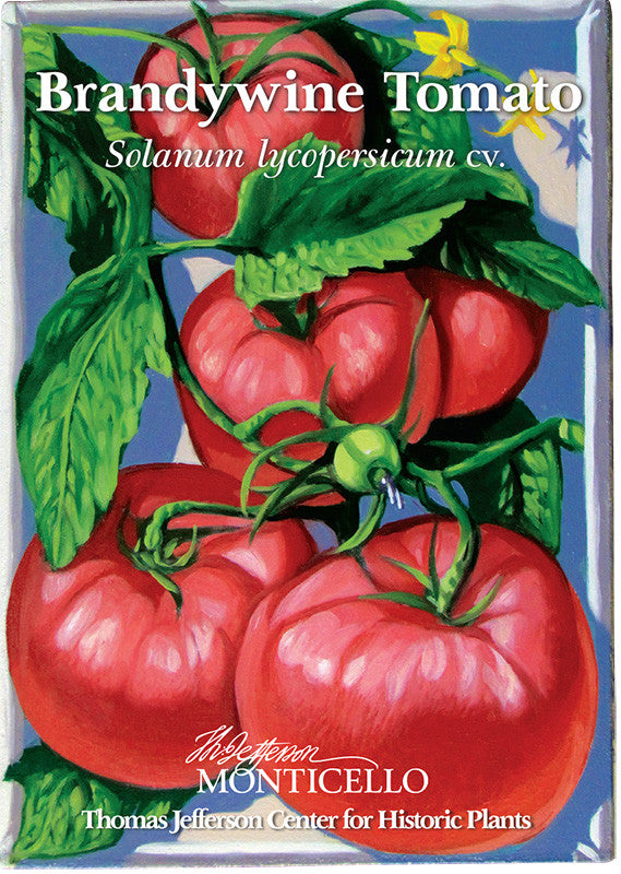 Brandywine Tomato Seeds (Solanum lycopersicum cv.) – Monticello Shop