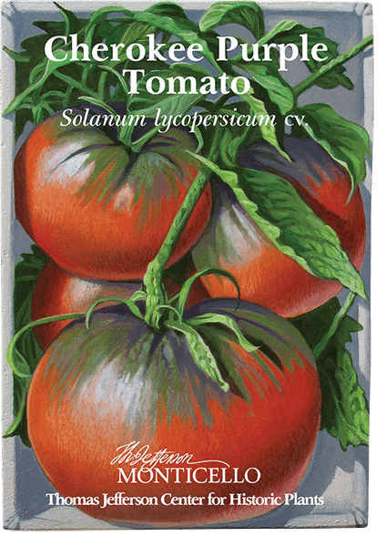 Cherokee Purple Tomato Seeds