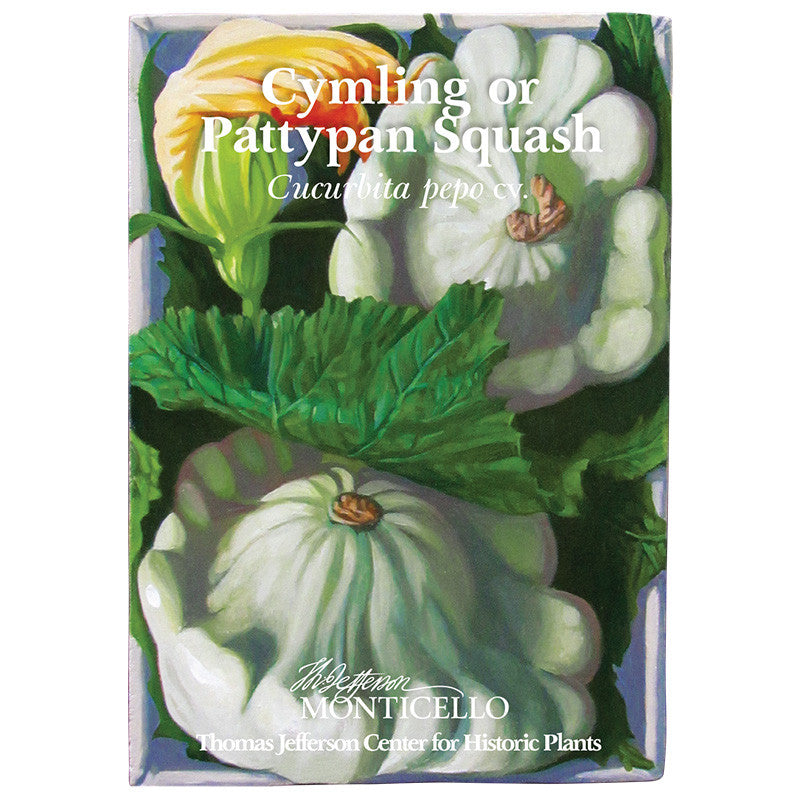 Cymling or Pattypan Squash Seeds (Cucurbita pepo)