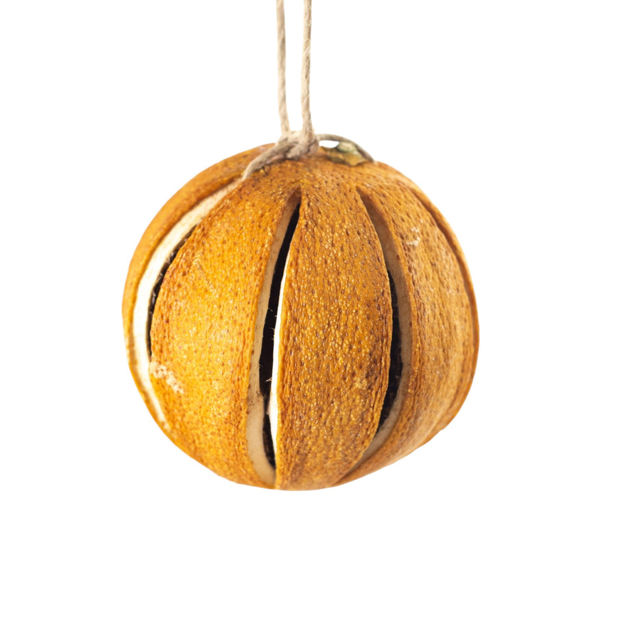 Dried Natural Fruit Ornaments - Monticello Shop