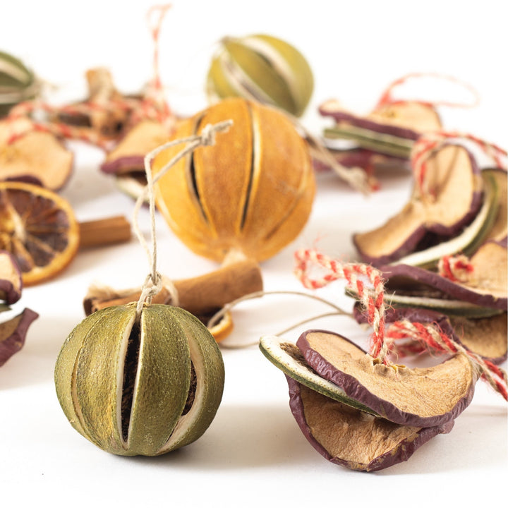 Dried Natural Fruit Ornaments - Monticello Shop