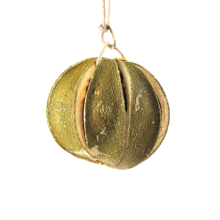 Dried Natural Fruit Ornaments - Monticello Shop