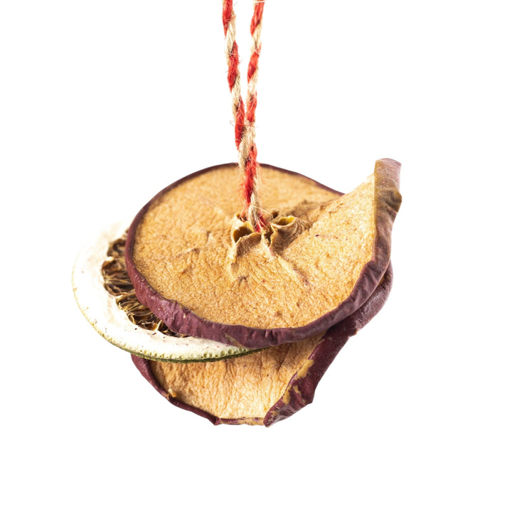 Dried Natural Fruit Ornaments - Monticello Shop