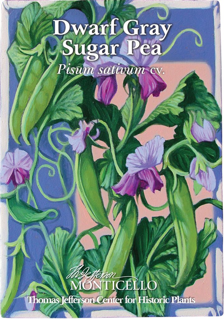 Dwarf Gray Sugar Pea Seeds (Pisum sativum cv.)