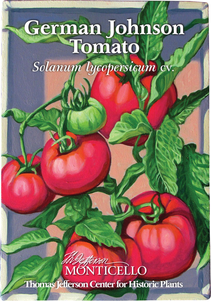 German Johnson Tomato Seeds (Solanum lycopersicum cv.)