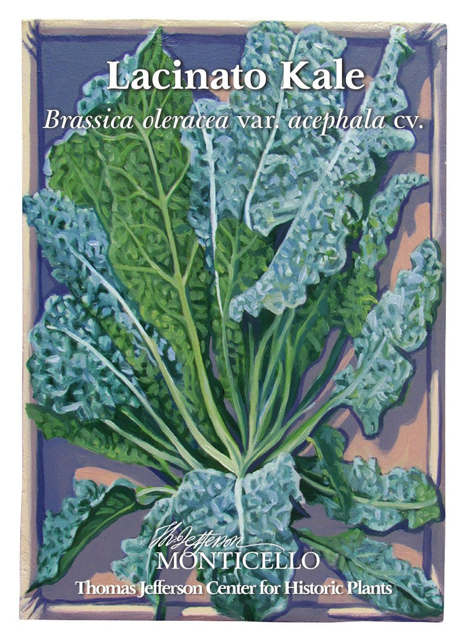 plant kale seeds Lacinato Kale Seeds (Brassica oleracea var. acephala cv.) – Monticello Shop