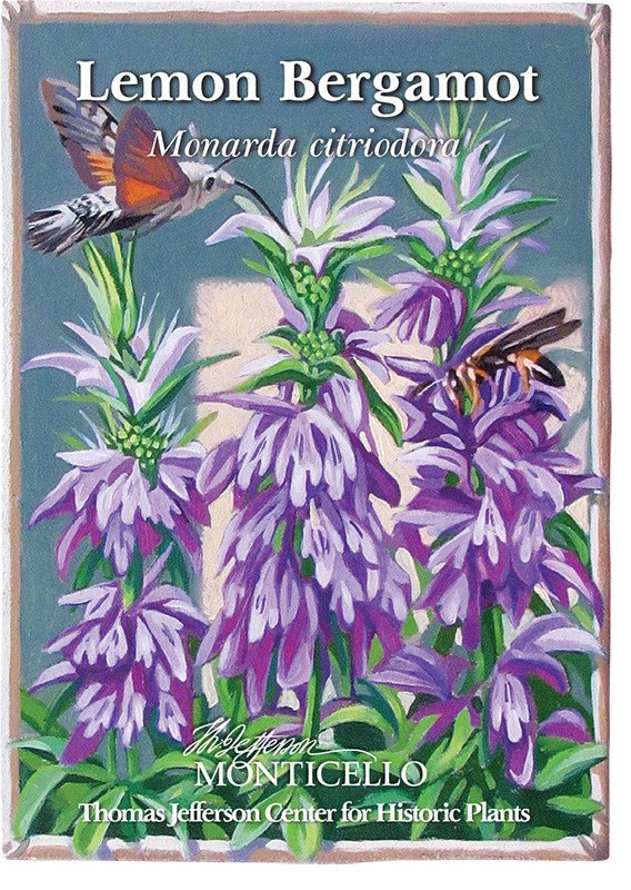 Monticello Shop Lemon Bergamot Seeds