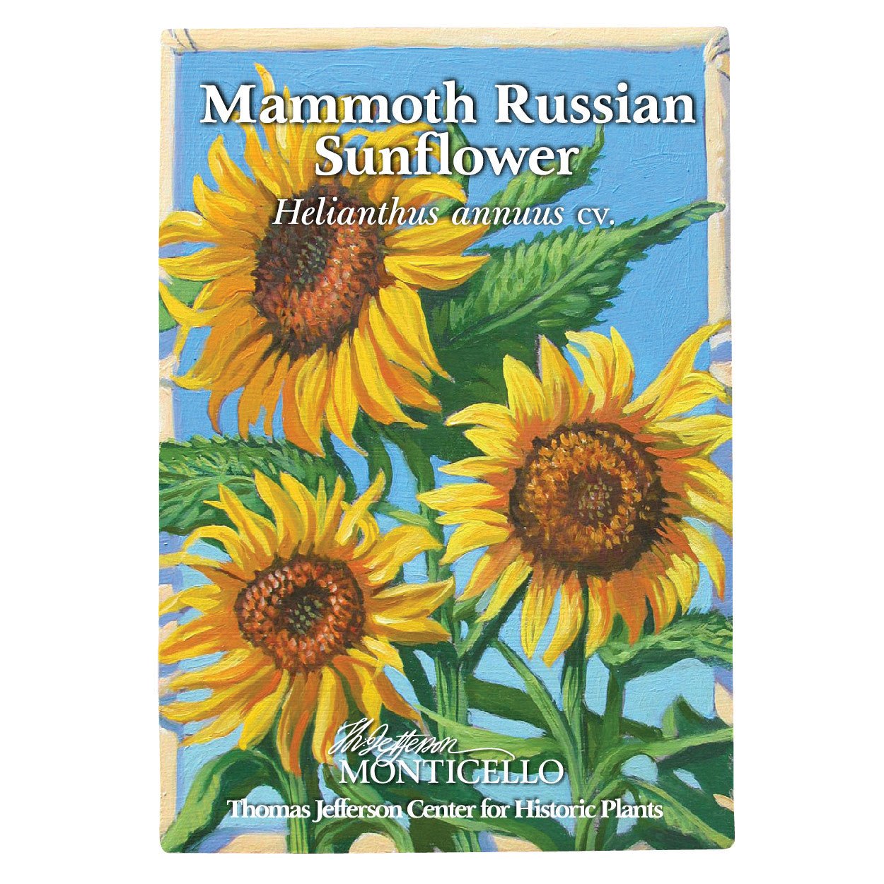 Monticello Shop Mammoth Russian Sunflower Seeds - Thumbnail 5