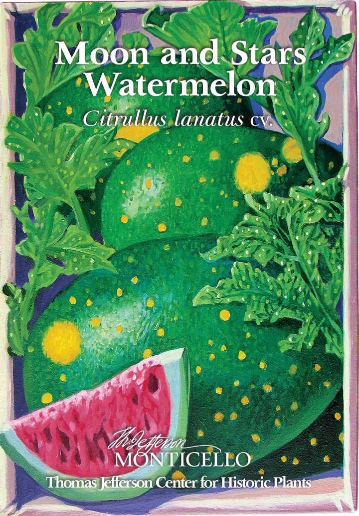 Moon and Stars Watermelon Seed Packet (Citrullus lanatus cv.)