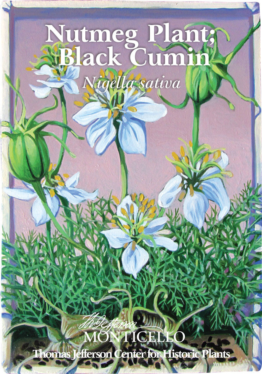 Nutmeg Plant; Black Cumin Seeds (Nigella sativa)