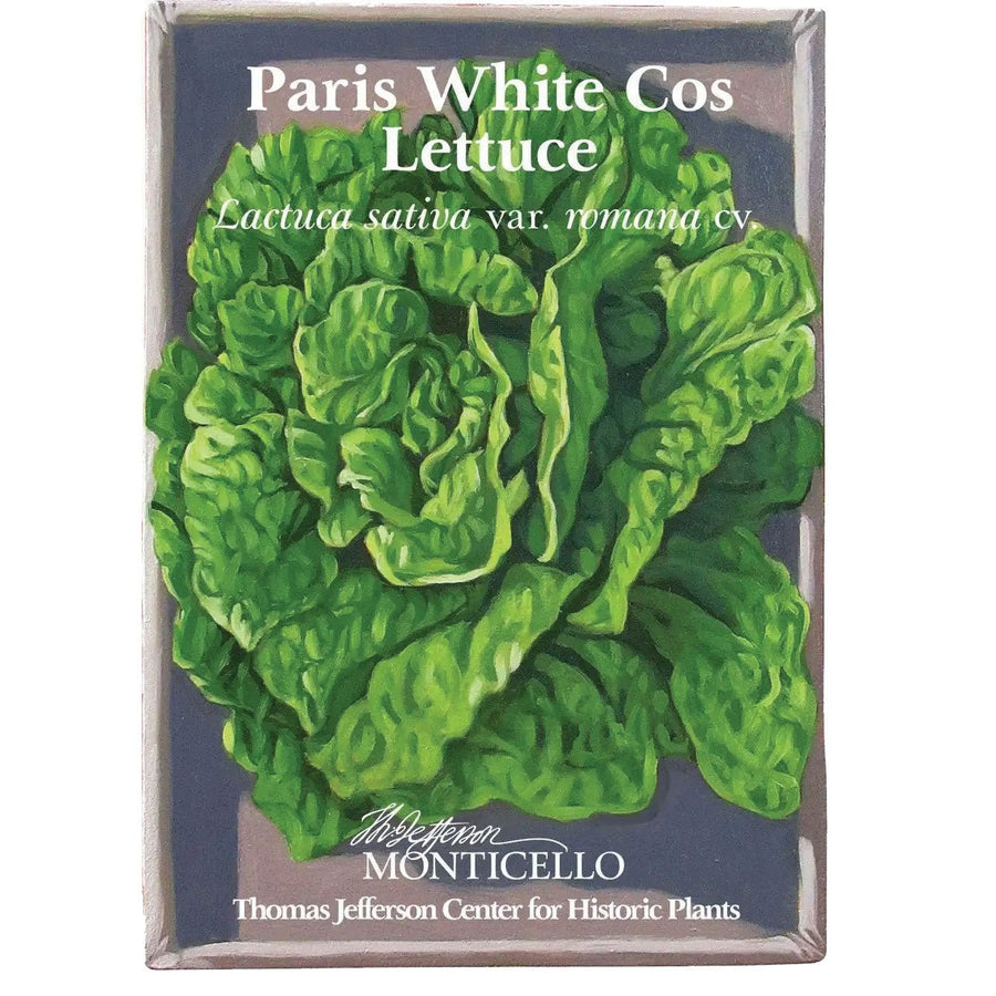 Paris White Cos Lettuce Seeds (Lactuca sativa var. romana cv.) - Monticello Shop