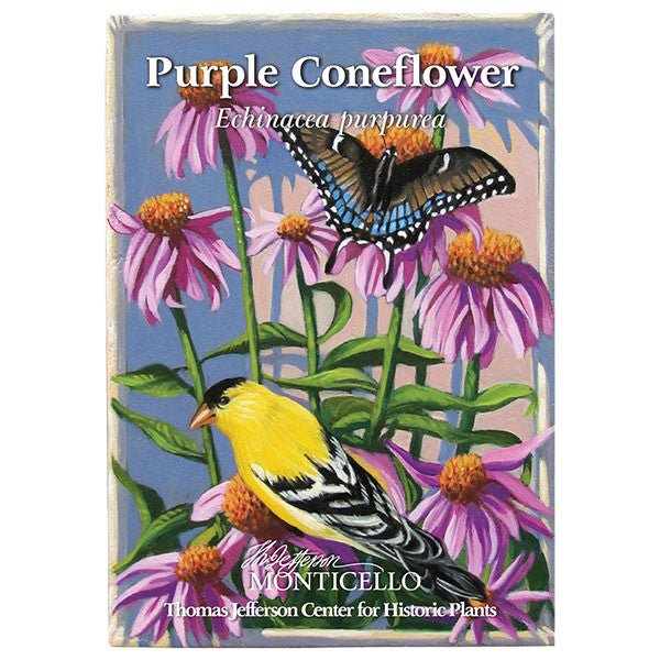 thomas jefferson garden seeds Purple Coneflower Seeds (Echinacea purpurea) – Monticello Shop
