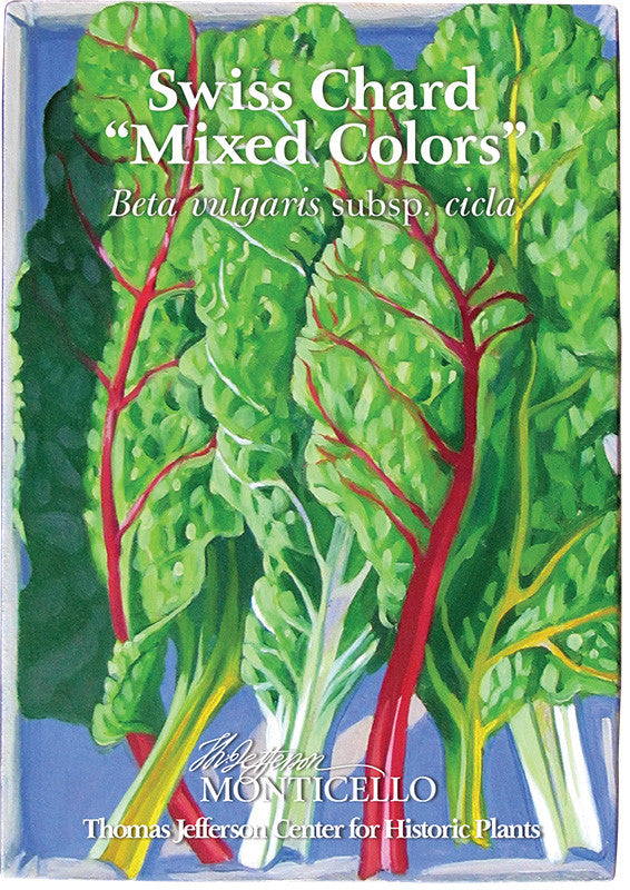 Swiss Chard "Mixed Colors" Seeds (Beta vulgaris subsp. cicla)