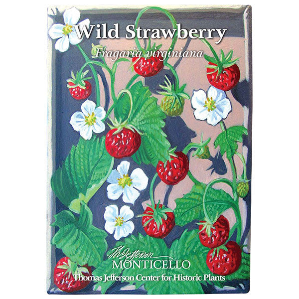 Wild Strawberry Seeds (Fragaria virginiana)