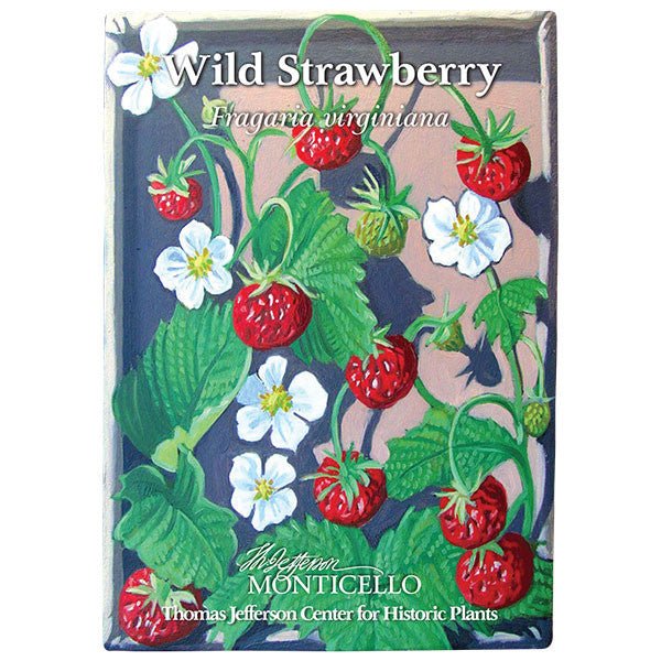 Wild Strawberry Seeds (Fragaria virginiana) – Monticello Shop