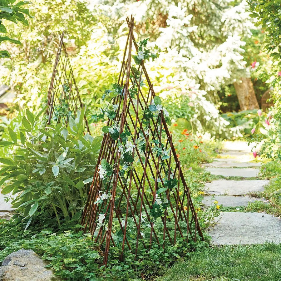 wood pyramid trellis Willow Plant Pyramids (Set of 3) – Monticello Shop