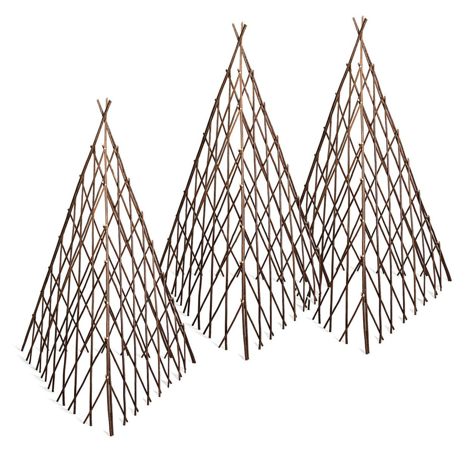Willow Plant Pyramids (Set of 3) - Monticello Shop