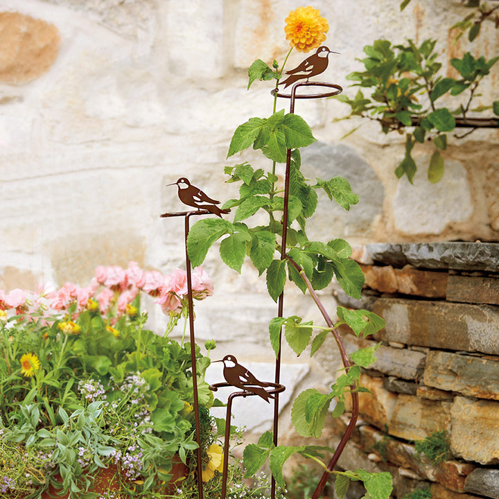 Monticello  Hummingbird Plant Support Set