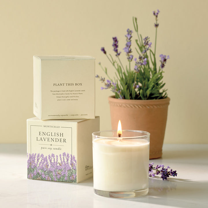 Monticello Lavender Seed Candle